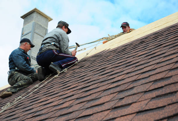 Best Local Roofing Companies  in Newcomerstown, OH